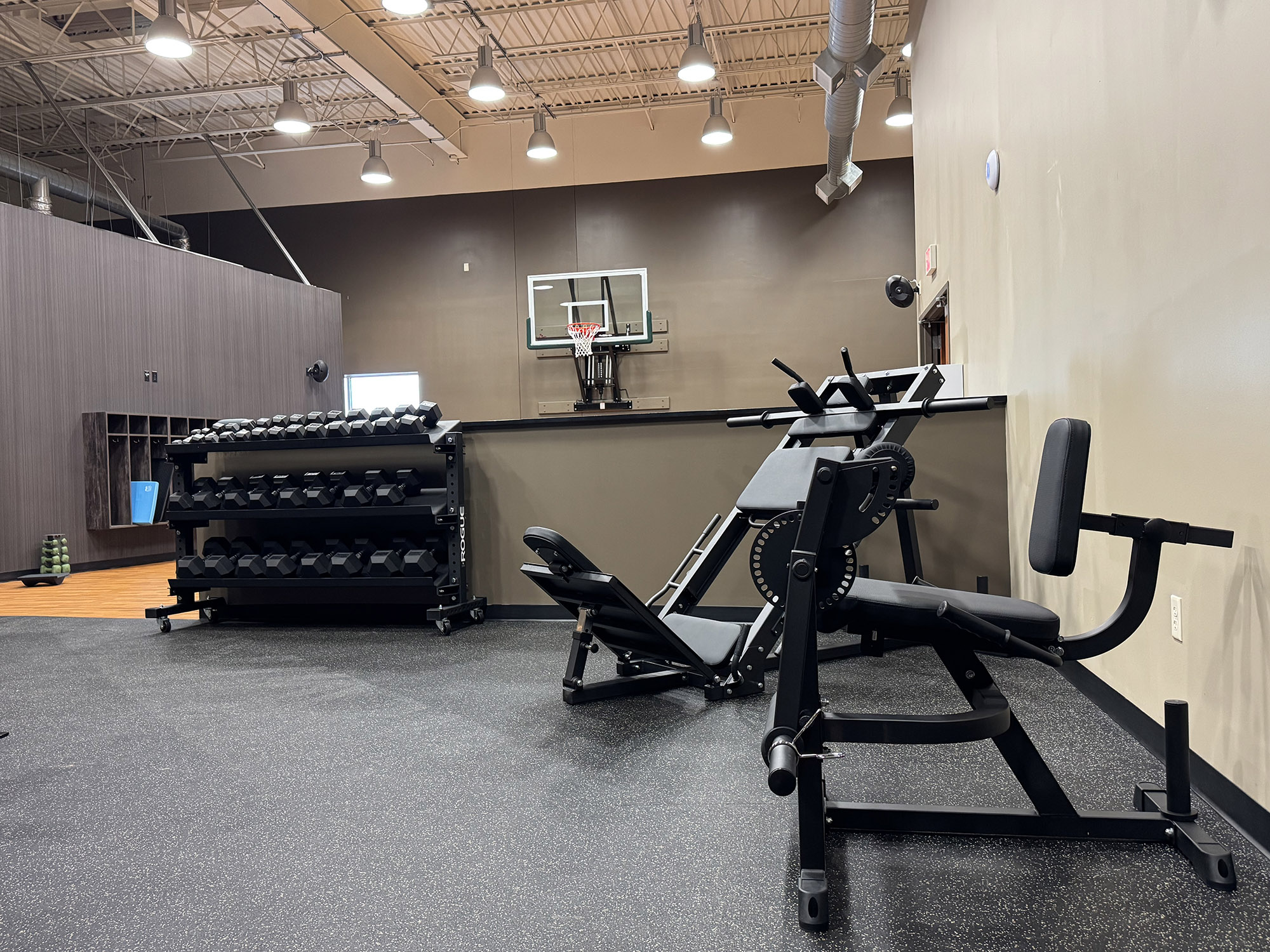 Gym equipment area with dumbbell racks, weight machines, benches, and a basketball hoop.